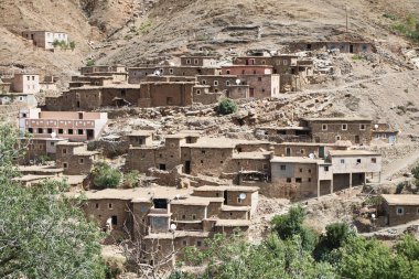 Taze portakallarla dolu bir market tezgahı. Tezgahın arkasında taze portakal ve limonlarla dolu canlı bir sokak satıcısı tezgahı..
