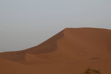 Gökyüzü altında dalgalanan kum tepecikleri - Sahra Çölü 'nde yumuşak, bulutlu bir gökyüzünün altında dalgalanan kum tepeciklerinin geniş bir görüntüsü, kumların soyut desenlerini ve dokusunu gösteriyor.