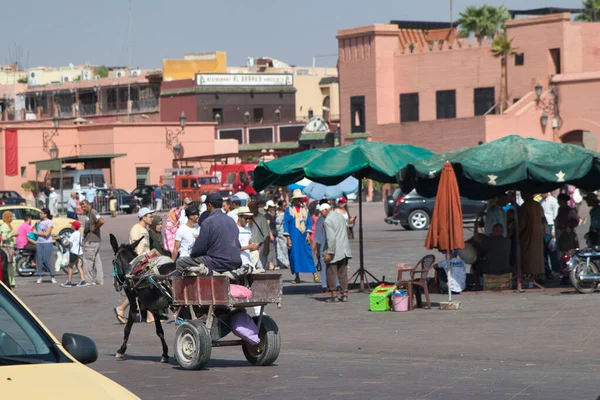 Su damlalı mor çiçek - Taçlarında köpüklü su damlacıkları ve yumuşak, bulanık bir arkaplanı olan canlı bir mor çiçeğin makro yakın çekimi.