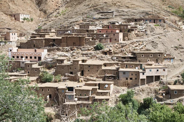Taze portakallarla dolu bir market tezgahı. Tezgahın arkasında taze portakal ve limonlarla dolu canlı bir sokak satıcısı tezgahı..