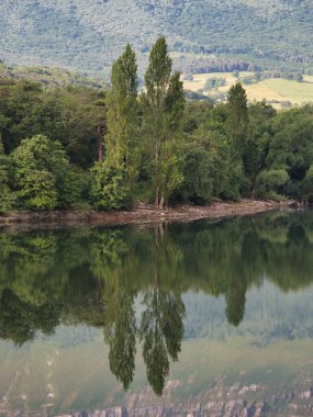 Orman ve gökyüzü yansıması olan dağ gölü bir dağın sakin bir yansıması ve gölün sakin sularındaki ağaçlar..