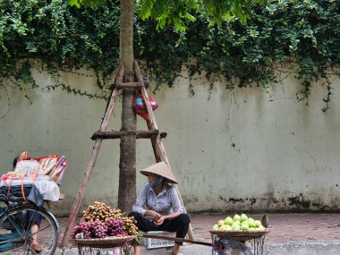 Sokak satıcısı sepetlerden taze meyve satıyor. Konik şapka giyen bir kadın Vietnam 'da kaldırımda duran tahta bir direkte dengelenmiş iki büyük sepetten taze meyve satıyor..