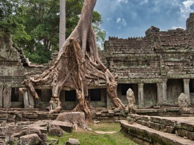 Preah Khan Tapınağı harabeleri - Kamboçya 'daki Antik Preah Khan tapınağı, çarpıcı bir gökyüzünün altında yıpranmış taş kalıntılarıyla sarmalanmış ağaç kökleri.