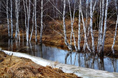 Güzel doğa Altaya göz izlerim