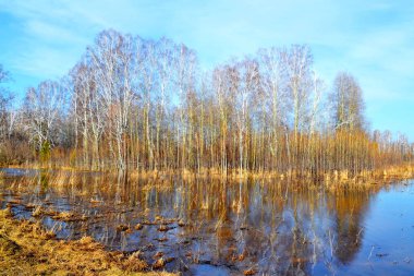 Güzel doğa Altaya göz izlerim