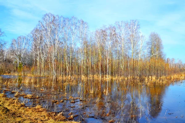 Güzel doğa Altaya göz izlerim