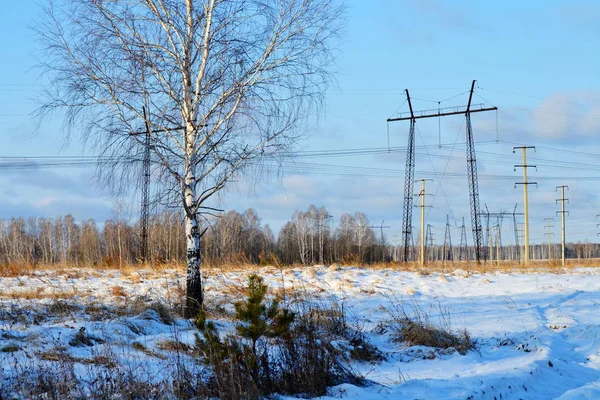 Elektriska Transformatorstationer Leverans Nuvarande Hela Regionen Sibirien — Stockfoto