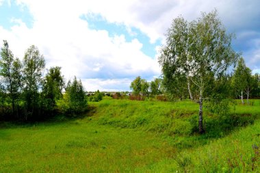  Beautiful nature Altaya