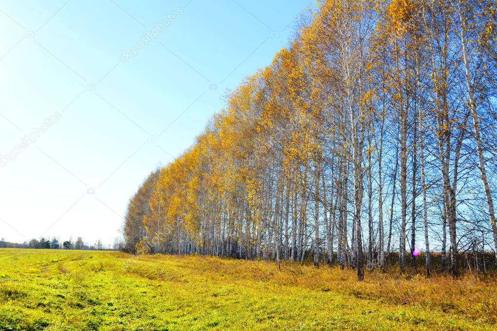  Beautiful nature Altaya