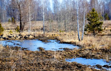Güzel doğa Altaya farklı ülkeleri ile turist çeken