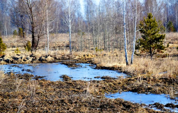 Schöne Natur Altaya Zieht Touristen Mit Verschiedenen Ländern — Stockfoto