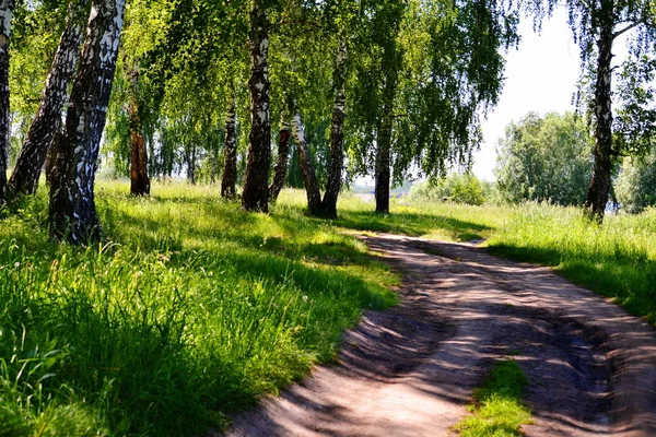 Piękna Przyroda Altaya Przyciąga Turystów Różnych Krajów — Zdjęcie stockowe