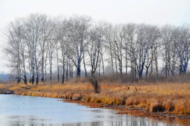 Güzel doğa Altaya farklı ülkeleri ile turist çeken