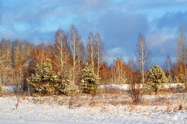 Güzel doğa Altaya farklı ülkeleri ile turist çeken