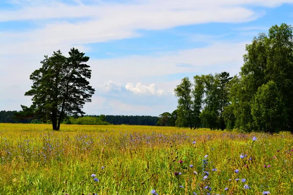 Красива Природа Altaya Привертає Увагу Туристів Різних Країн — стокове фото