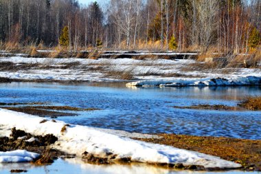 Doğa dike Altaya turist, sanatçı göz memnun