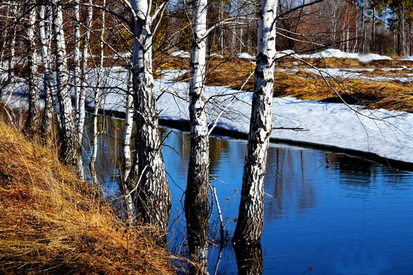 Příroda Ostrově Altaja Prosásním Pohledem Turisty Umělce — Stock fotografie