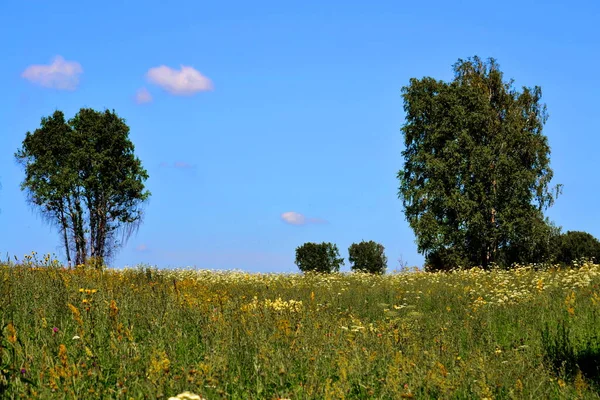 Natuur Altaya Behaagt Het Oog Van Kunstenaar Travellier — Stockfoto