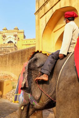Fil sürme fil Arnavut kaldırımlı yolda Amber Fort yakınındaki Jaipur, Rajasthan, Hindistan için dekore edilmiştir. Fil sürmek popüler turistik Amber Fort içinde bulunmaktadır.
