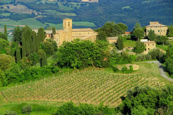 그리고 Val Orcia 이탈리아 농가의 노에는 와인에 — 스톡 사진