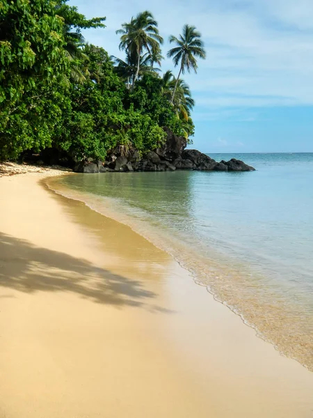 Sandstrand Entlang Der Lavenaküste Auf Der Insel Taveuni Fidschi Taveuni — Stockfoto