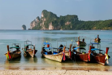 Phi Phi Don Island, Krabi il, Tayland Ao Loh Dalum plajda Longtail tekneler demirli. Deniz milli park, Koh Phi Phi Don bir parçasıdır.
