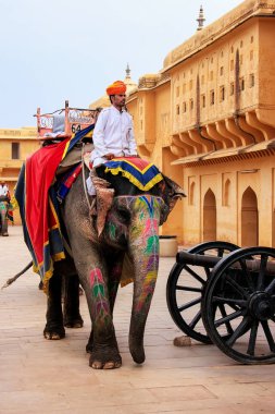 Amber, Hindistan - 1 Mart: Kimliği belirsiz sürmek 1 Mart 2011 Amber, Hindistan elephantin Amber Fort Jaleb Chowk dekore edilmiştir. Fil sürmek popüler turistik Amber Fort içinde bulunmaktadır