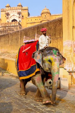 Amer, Hindistan - 13 Kasım: Kimliği belirsiz rides üzerinde 13 Kasım 2014 Amber, Hindistan fil Amber Fort üzerinden dekore edilmiş. Fil sürmek popüler turistik Amber Fort içinde bulunmaktadır.
