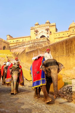 Amber, Hindistan - 13 Kasım: Tanımlanamayan dekore filler Amber Fort üzerinde 13 Kasım 2014 Amber, Hindistan ata binip. Fil sürmek popüler turistik Amber Fort içinde bulunmaktadır.
