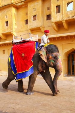Amer, Hindistan - 13 Kasım: Kimliği belirsiz sürmek Amber Fort Jaleb Chowk fil üzerinde 13 Kasım 2014 Amber, Hindistan dekore edilmiştir. Fil sürmek popüler turistik Amber Fort içinde bulunmaktadır. 
