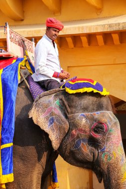 Amer, Hindistan - 13 Kasım: Kimliği belirsiz sürmek Amber Fort Jaleb Chowk fil üzerinde 13 Kasım 2014 Amber, Hindistan dekore edilmiştir. Fil sürmek popüler turistik Amber Fort içinde bulunmaktadır. 