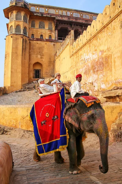 Amber India Noviembre Personas Identificadas Viajan Elefante Condecorado Amber Fort — Foto de Stock