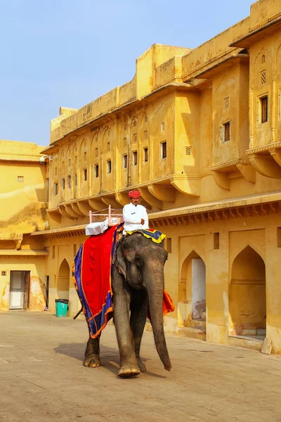 Amer India Noviembre Paseos Identificados Condecorados Elefante Jaleb Chowk Amber — Foto de Stock