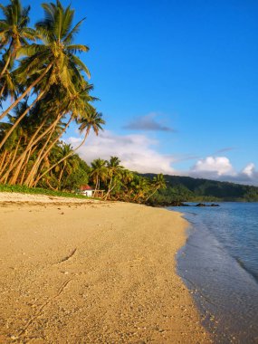 Sandy beach Taveuni Island, Fiji Lavena köyde. Taveuni Fiji'de üçüncü büyük adasıdır.