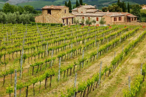 Vineyard Farmhouse Montalcino Val Orcia Tuscany Italy Montalcino Famous Its — Stock Photo, Image