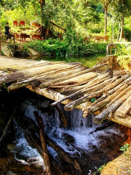 Wooden Bridge Small Stream Countryside Vang Vieng Laos Vang Vieng — Stock Photo, Image