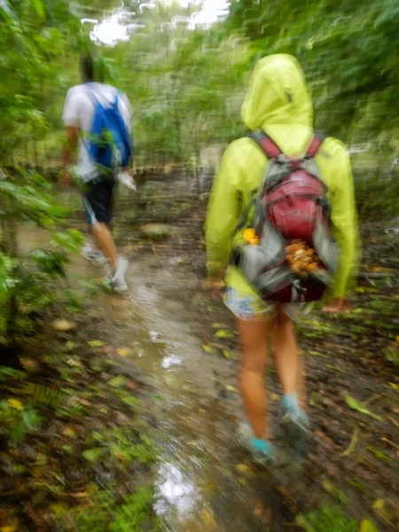 Τουρίστες Πεζοπορία Στη Βροχή Θόλωση Rinca Νησί Εθνικό Πάρκο Komodo — Φωτογραφία Αρχείου