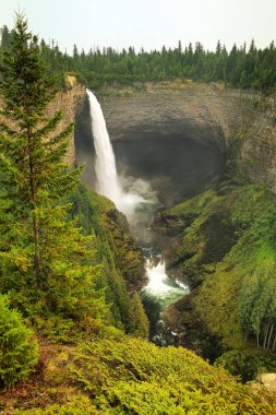 Wells Gray İl Parkı 'ndaki Murtle River' daki Helmcken Şelalesi, British Columbia, Kanada. British Columbia 'nın dördüncü büyük parkıdır..