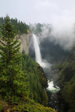 Helmcken Falls ve sis, Wells Gray Provincial Park, British Columbia, Kanada. British Columbia 'nın dördüncü büyük parkıdır..
