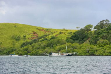 Rinca Adası ın Komodo Ulusal Parkı, Nusa Tenggara, Endonezya'nın kıyı şeridi. 1991 yılında UNESCO Dünya Miras Listesi milli park ilan edilmiş