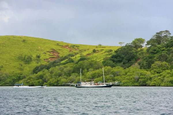 Kustlijn Van Rinca Island Komodo National Park Nusa Tenggara Indonesia — Stockfoto