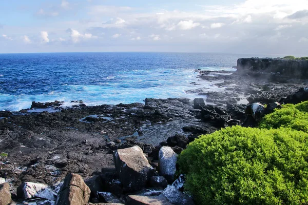 Kusten Espanola Galapagos Nationalpark Ecuador — Stockfoto