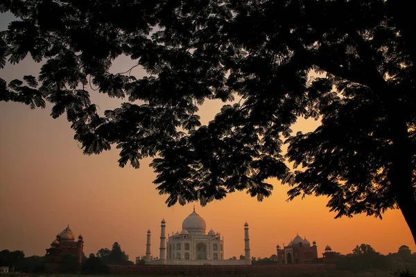 Gün Batımında Bir Ağaç Tacının Çerçevelediği Taj Mahal Manzarası Agra — Stok fotoğraf
