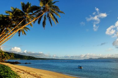 Sandy beach Taveuni Island, Fiji Lavena köyde. Taveuni Fiji'de üçüncü büyük adasıdır.