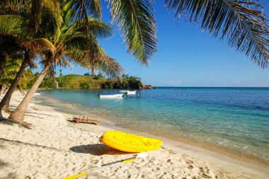 Sea kayak on the beach near palm trees, Nacula Island, Yasawas, Fiji clipart