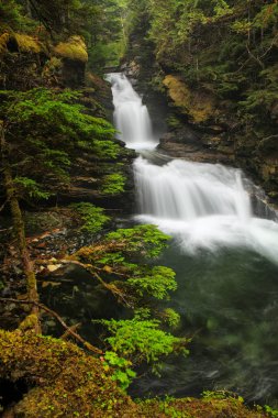 Wells Gray Provincial Park 'taki Sticta Falls, British Columbia, Kanada. British Columbia 'nın dördüncü büyük parkıdır..