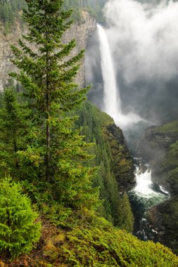 Helmcken Falls ve sis, Wells Gray Provincial Park, British Columbia, Kanada. British Columbia 'nın dördüncü büyük parkıdır..