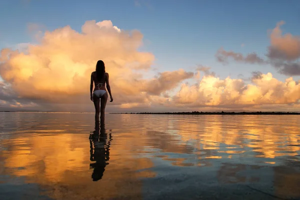 Mulher Silhueta Uma Água Pôr Sol Ilha Taveuni Fiji Taveuni — Fotografia de Stock