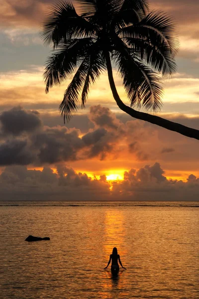 Silhouette Palma Pendente Una Donna All Alba Sull Isola Taveuni — Foto Stock