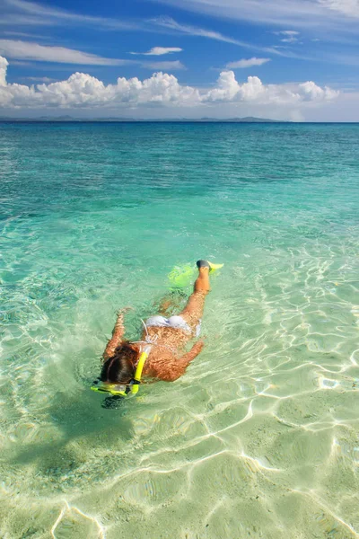 Ung Kvinna Snorkling Klart Grunt Vatten Nära Tropiska — Stockfoto